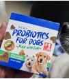 BEST 30 Pack 1 Chew Per Day Probiotics for Dogs. 97700 Packs. EXW Los Angeles